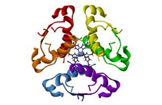 3RD QUARTER 2013 - RECOMBINANT