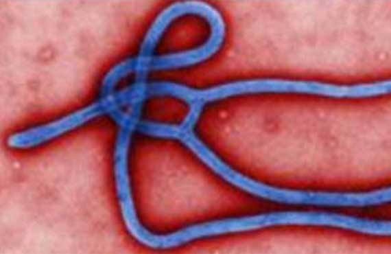 3RD QUARTER 2014 - PLAGUE