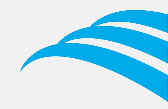 Angeles Investment Advisors Hires Consultant