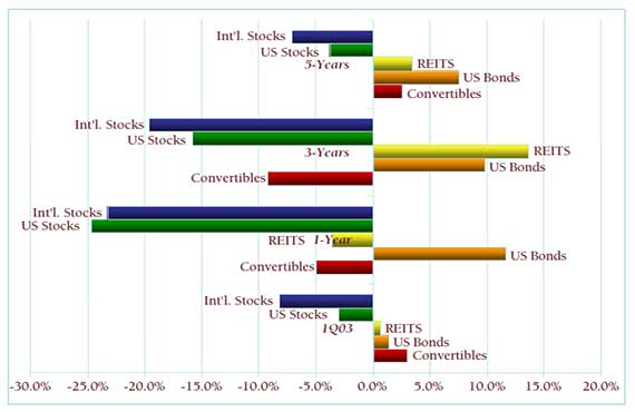 1st Quarter 2003 - Butterflies and Bees
